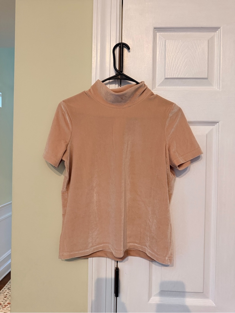 Madewell Pink Velvet Mockneck Tee - Size XS